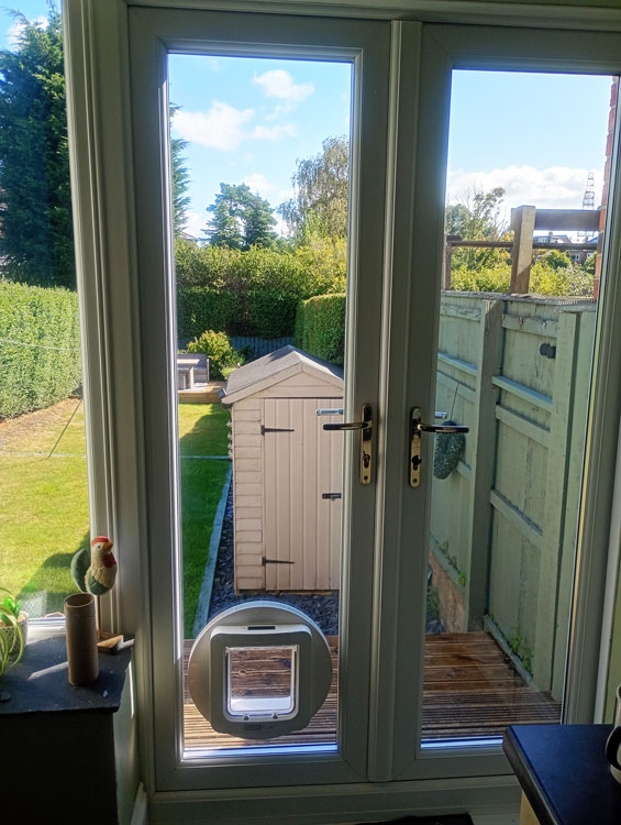 Cat flap installers near me
