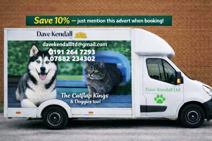 Cat flap kings and doggies 2