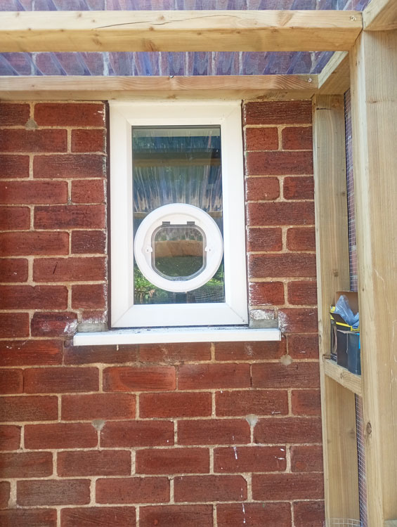 Cat flap kings and doggies 2