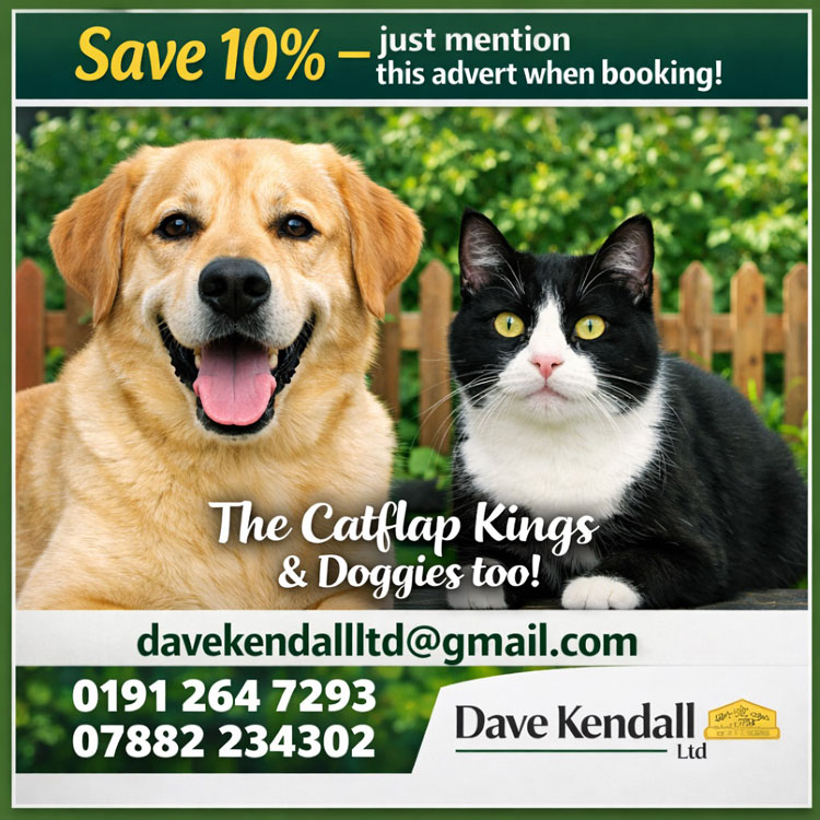 Cat flap kings and doggies 2