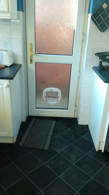 cat flap fitting service Newcastle