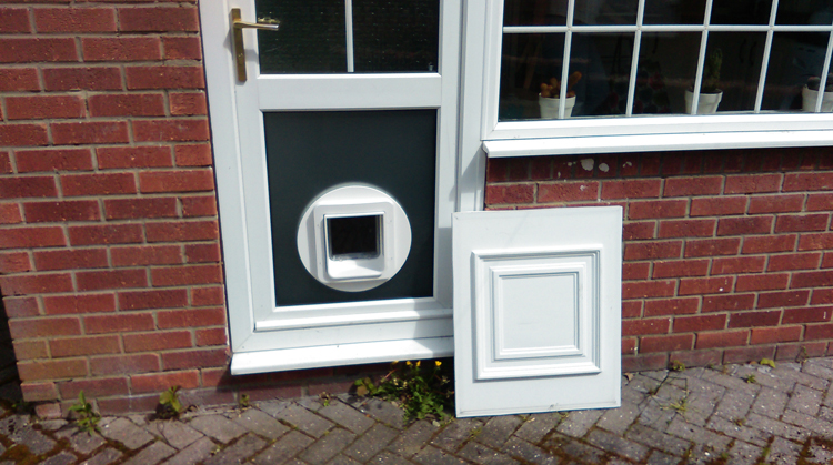 cat flap fitting service Newcastle