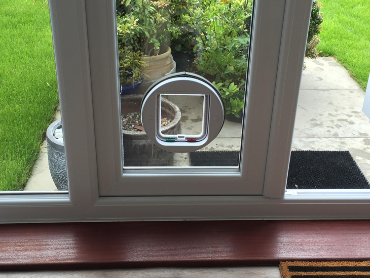 double glazing cat flap