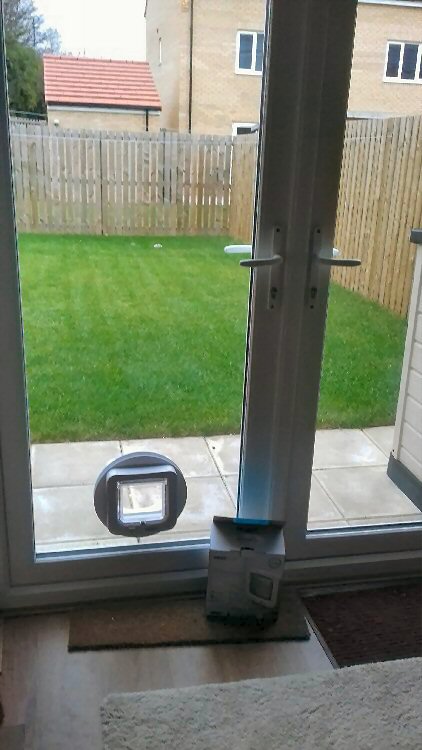 Cat flap installers Byker and Walker