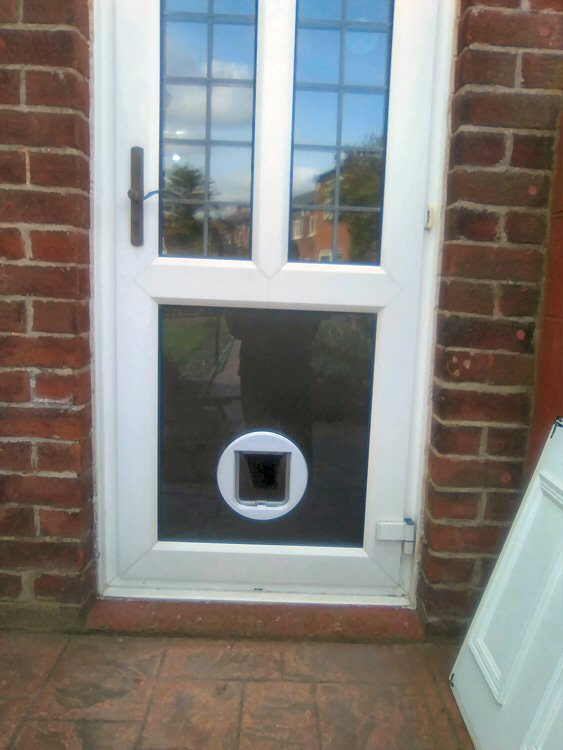 Cat Flap Installers Sunderland and the North East, Cat Flap Fitters