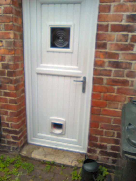 cat flap fitter Northumberland and the North East