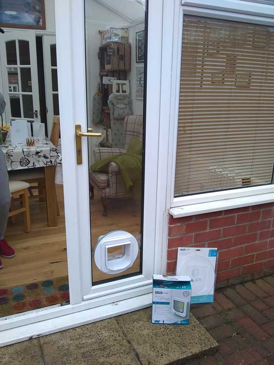 Cat flap installers Carlisle and Cumbria