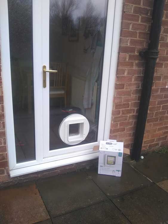 Cat flap installers Carlisle and Cumbria