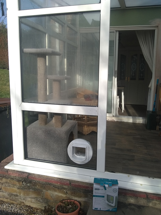 Cat flap fitters Carlisle and Cumbria