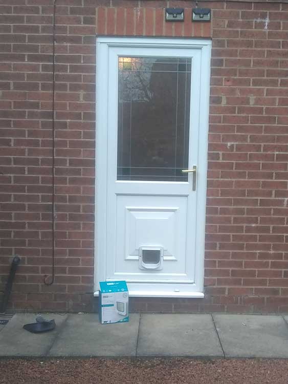 Cat flap fitters Cramlington
