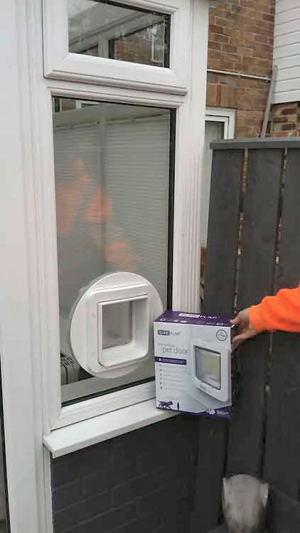 cat flap fitters Cramlington Northumberland