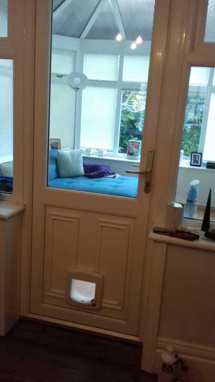 cat flap fitters Jesmond