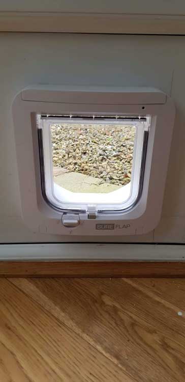 Cat flap fitters Lanchester and County Durham