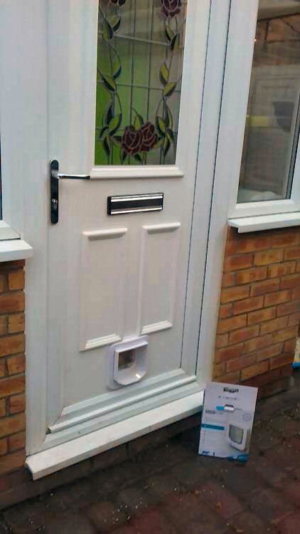 Cat flap fitters Prudhoe and Stocksfield