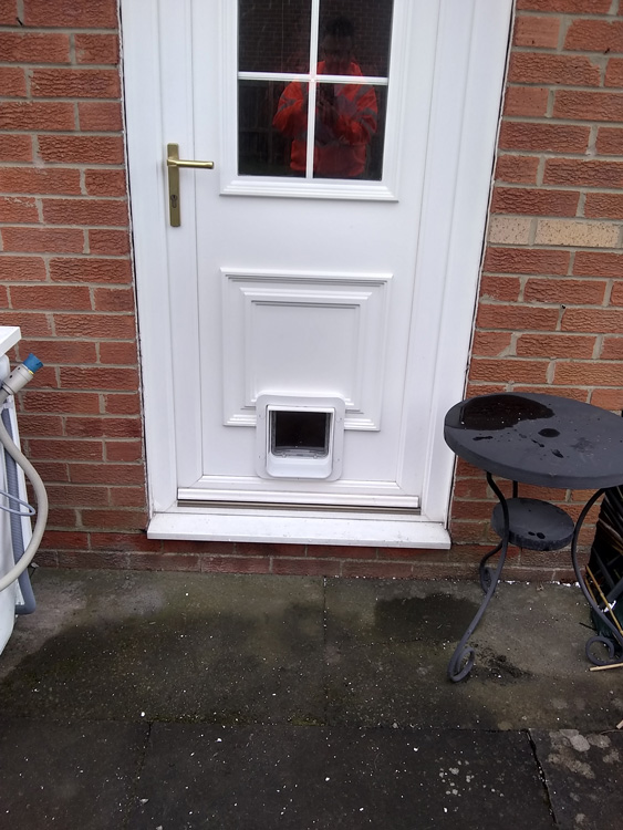 Cat flap fitters Scarborough and Yorkshire