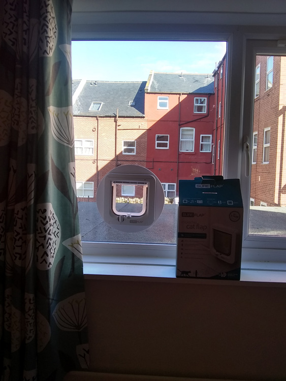 Cat flap fitters Scarborough and Yorkshire