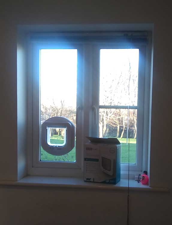 Cat flap fitters Stockton and Middlesbrough