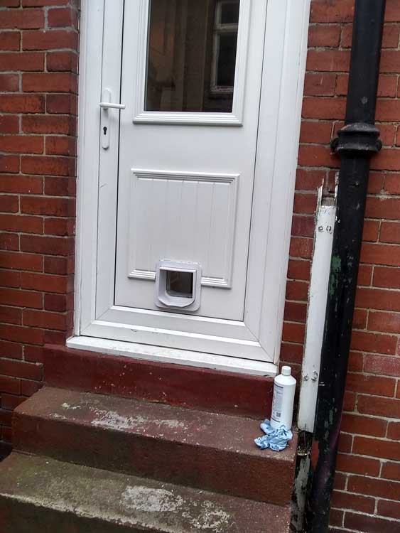 Cat flap fitters Stockton and Middlesbrough