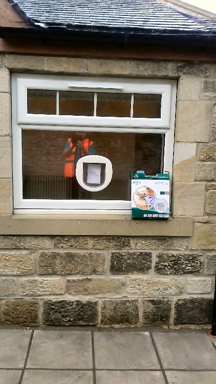 Cat flap installers Alnwick and Northumberland, here installed in Alnwick