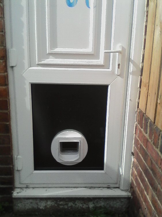 Cat flap installers Byker and Heaton, here installed in Byker