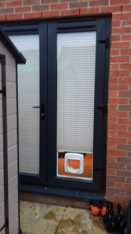 Cat flap kings Morpeth