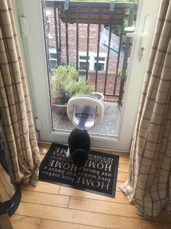Jesmond cat flap installers