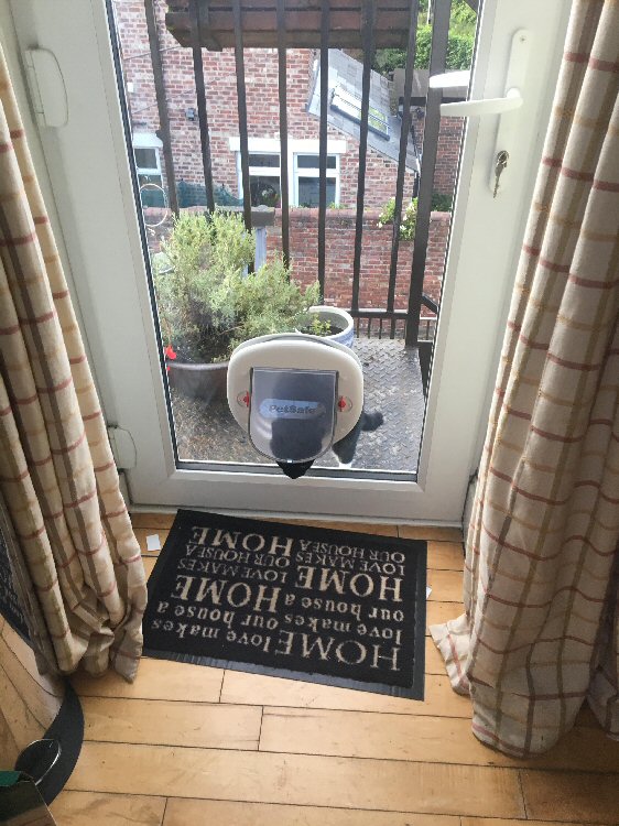 Cat flap installers Gosforth, here installed in Jesmond