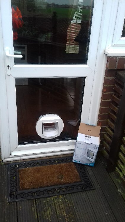 Cat flap installers Benton