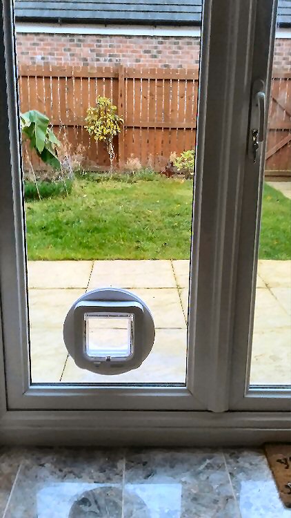 Cat flap kings
