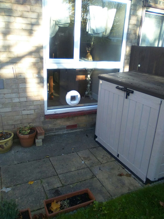 cat flap installers Northumberland and the North East