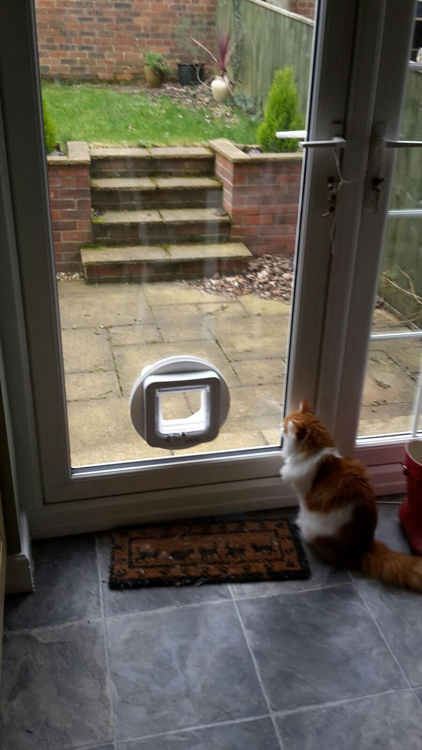 cat flap installers Morpeth, cat flap fitters Cramlington