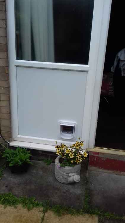 cat flap fitters Cramlington Northumberland