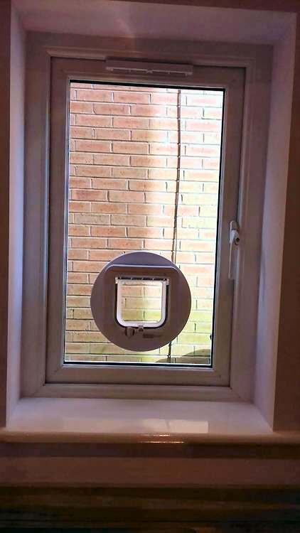 cat flap kings