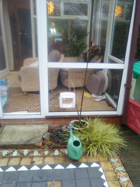 cat flap installers North East