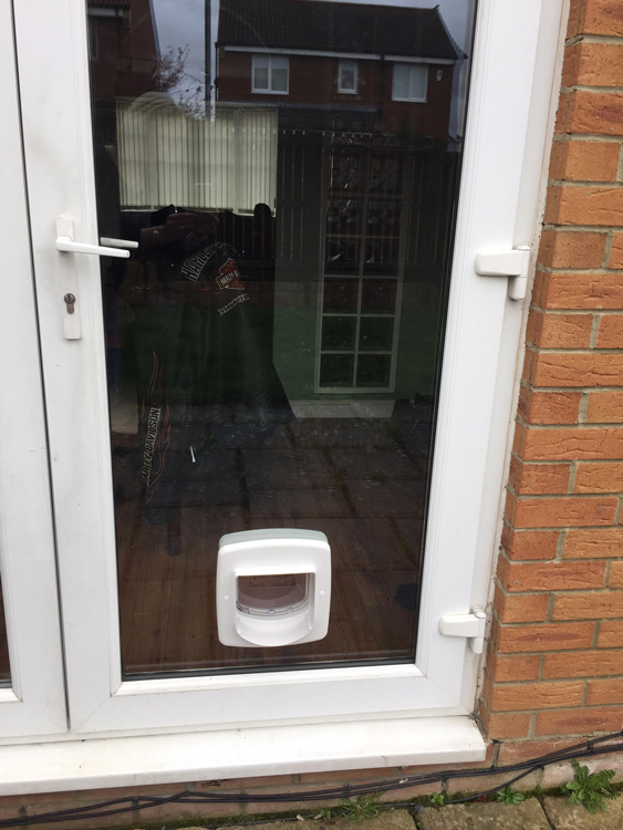 cat flap installers Prudhoe, cat flap fitters Corbridge