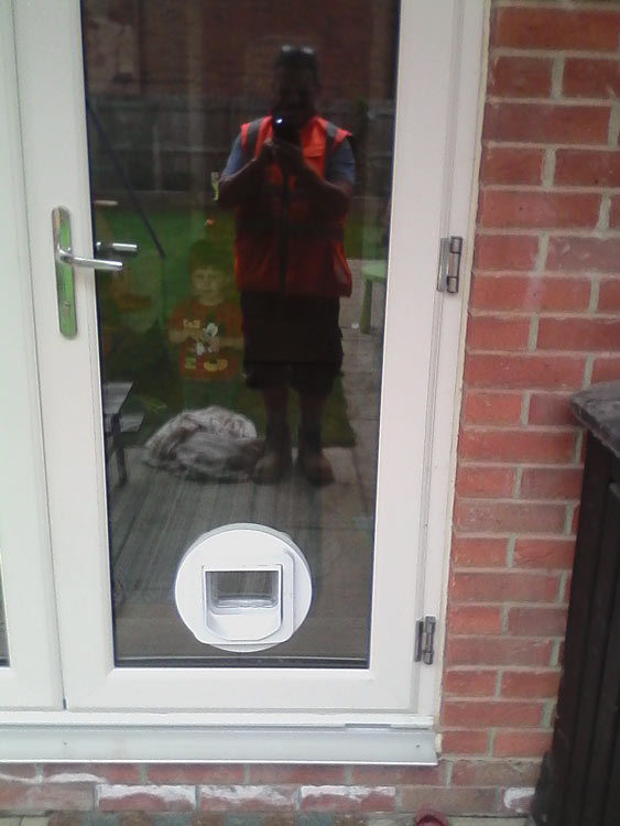 Cat flap installers Tranwell Morpeth