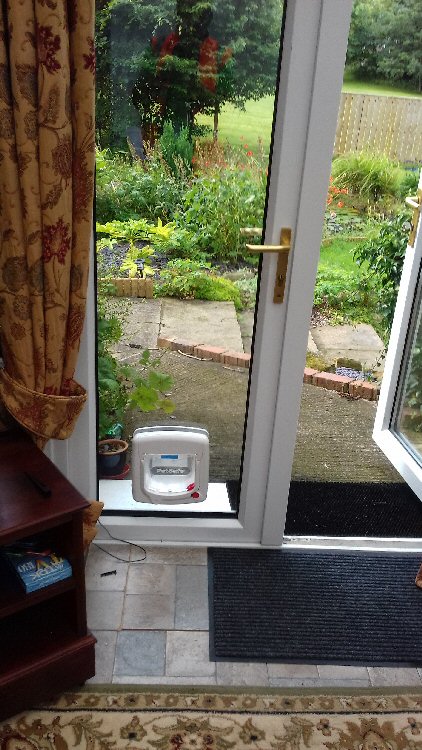 Cat flap installers Ulgham Northumberland, here installed in Ulgham