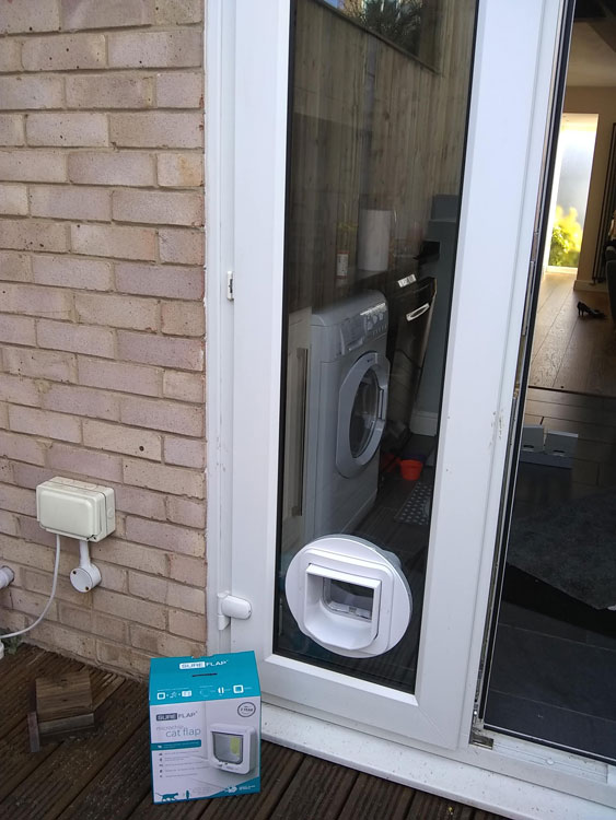 Cat Flap Installers Washington