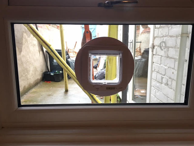 cat flap installers North East