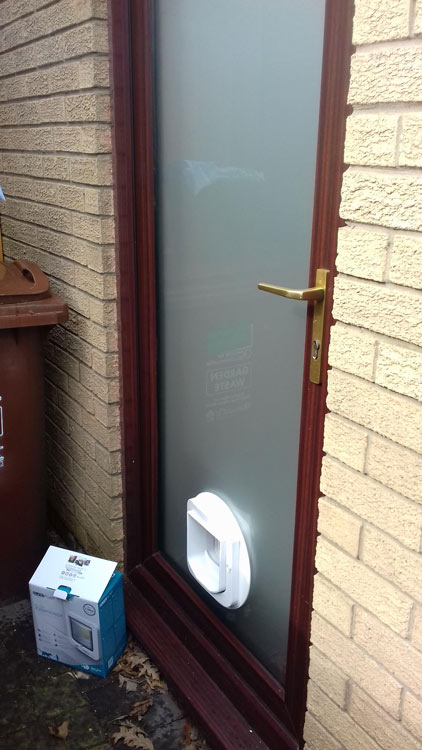 Cat flap installers Newcastle, cat flap king