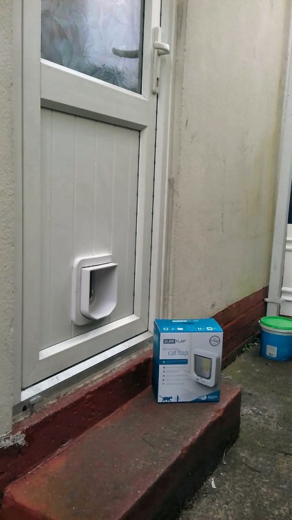 cat flap kings