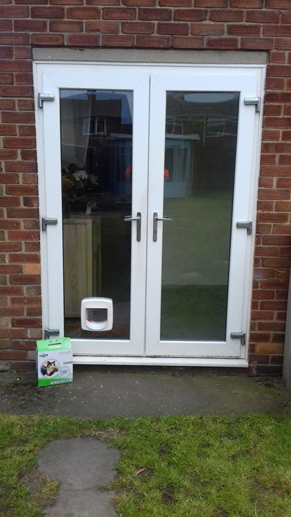 cat flap kings