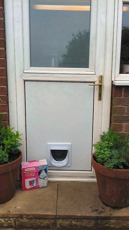 cat flap kings