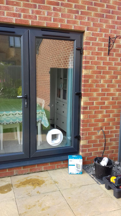 cat flap kings