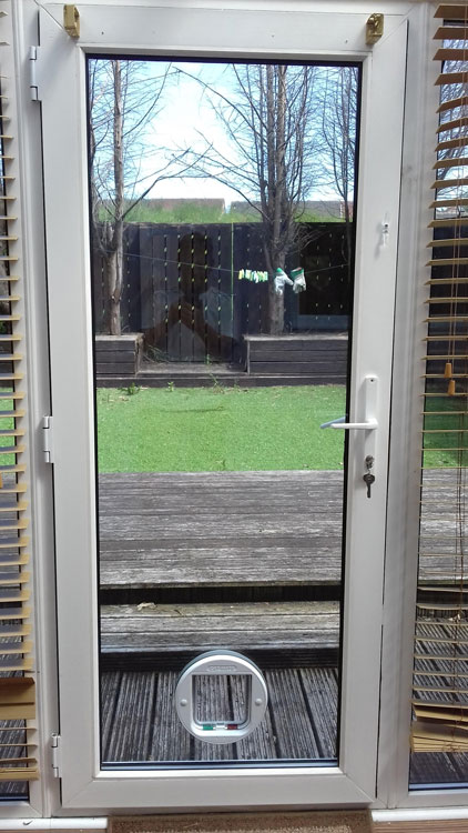 cat flap kings