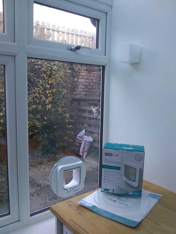 cat flap kings Stocksfield