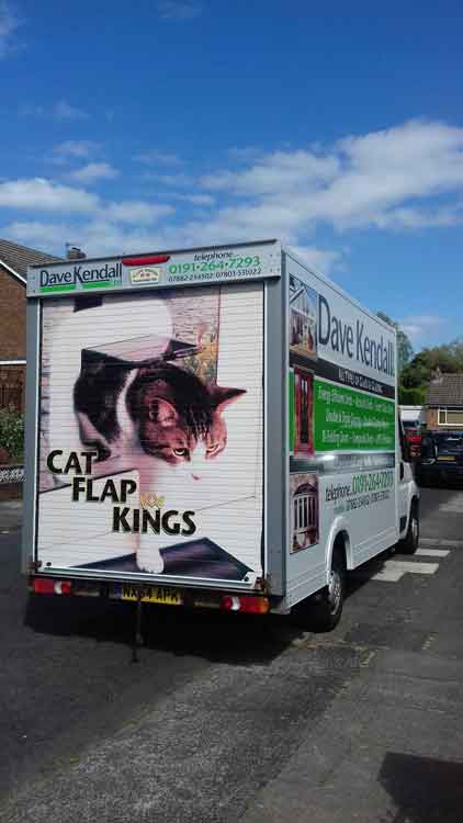 cat flap kings