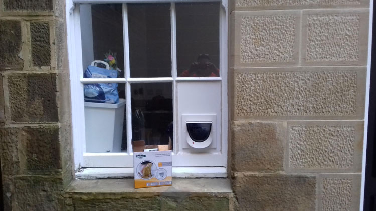 Cat flap installers Morpeth Northumberland