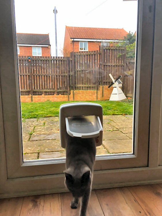 cat flap installers Prudhoe, cat flap fitters Corbridge
