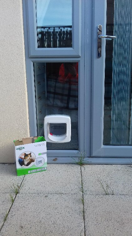 Cat flap installers Walker